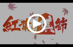 紅葉の棋節 週刊少年ジャンプ公式PV